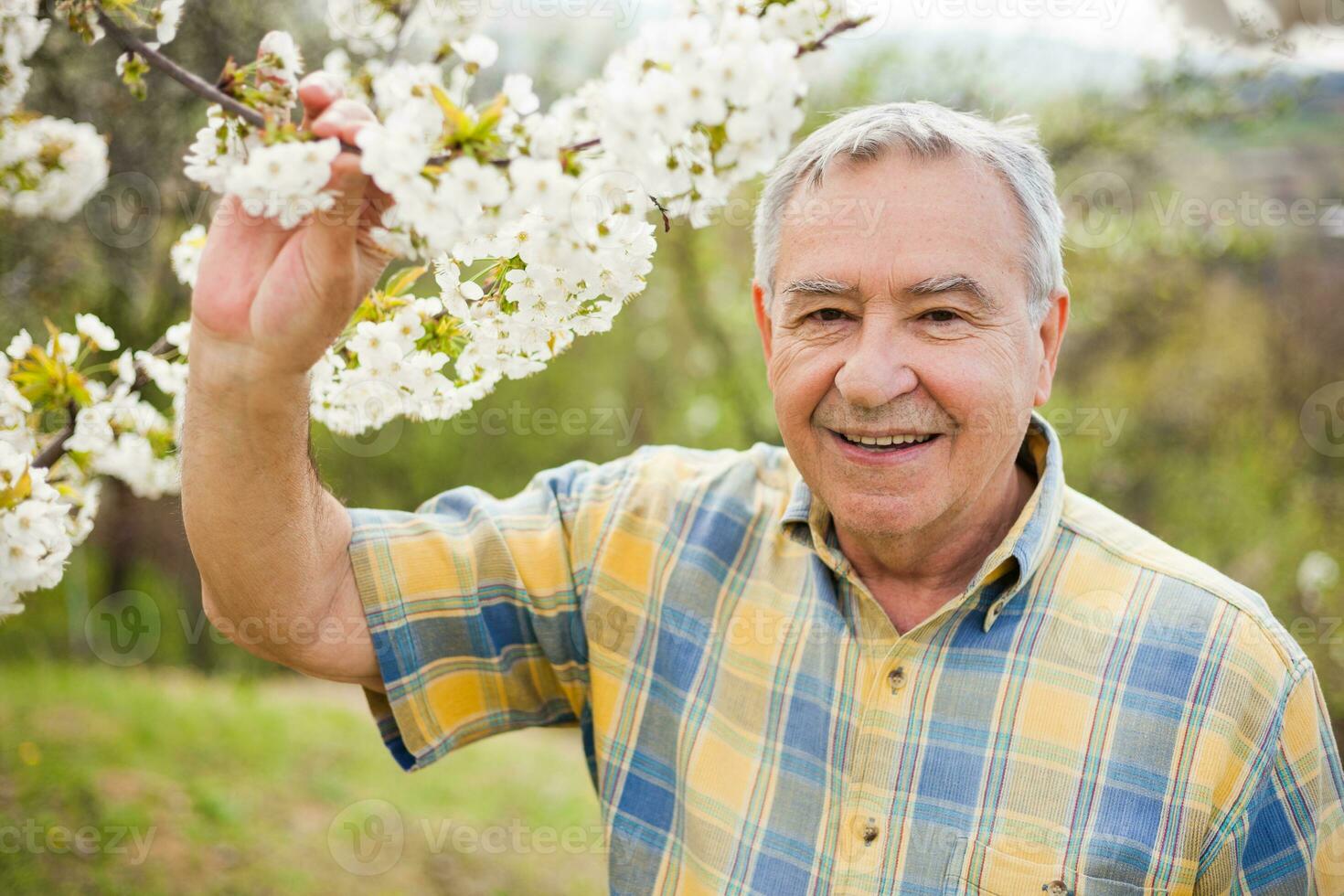 A senior man taking care of his garden photo