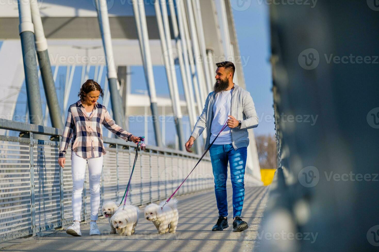A couple walking their dogs photo