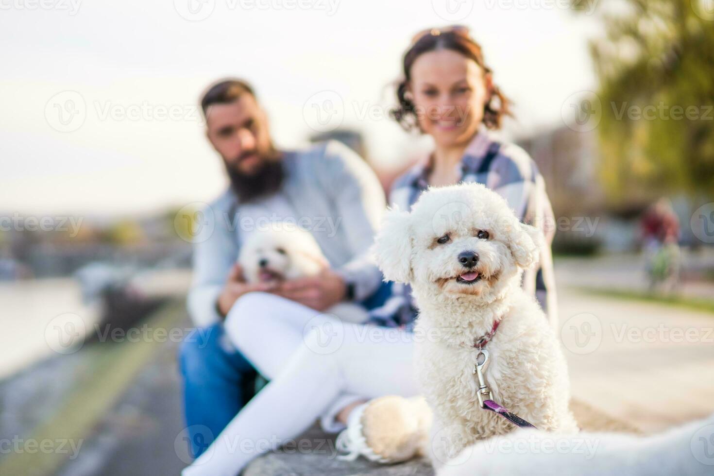 An adult couple is enjoying a sunny day with their dog photo