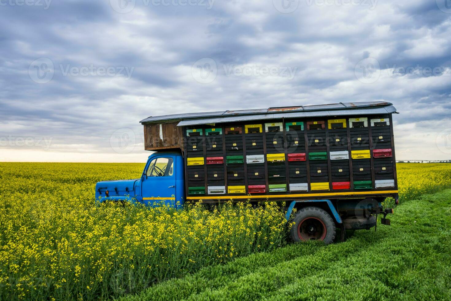 un camión con colmenas foto