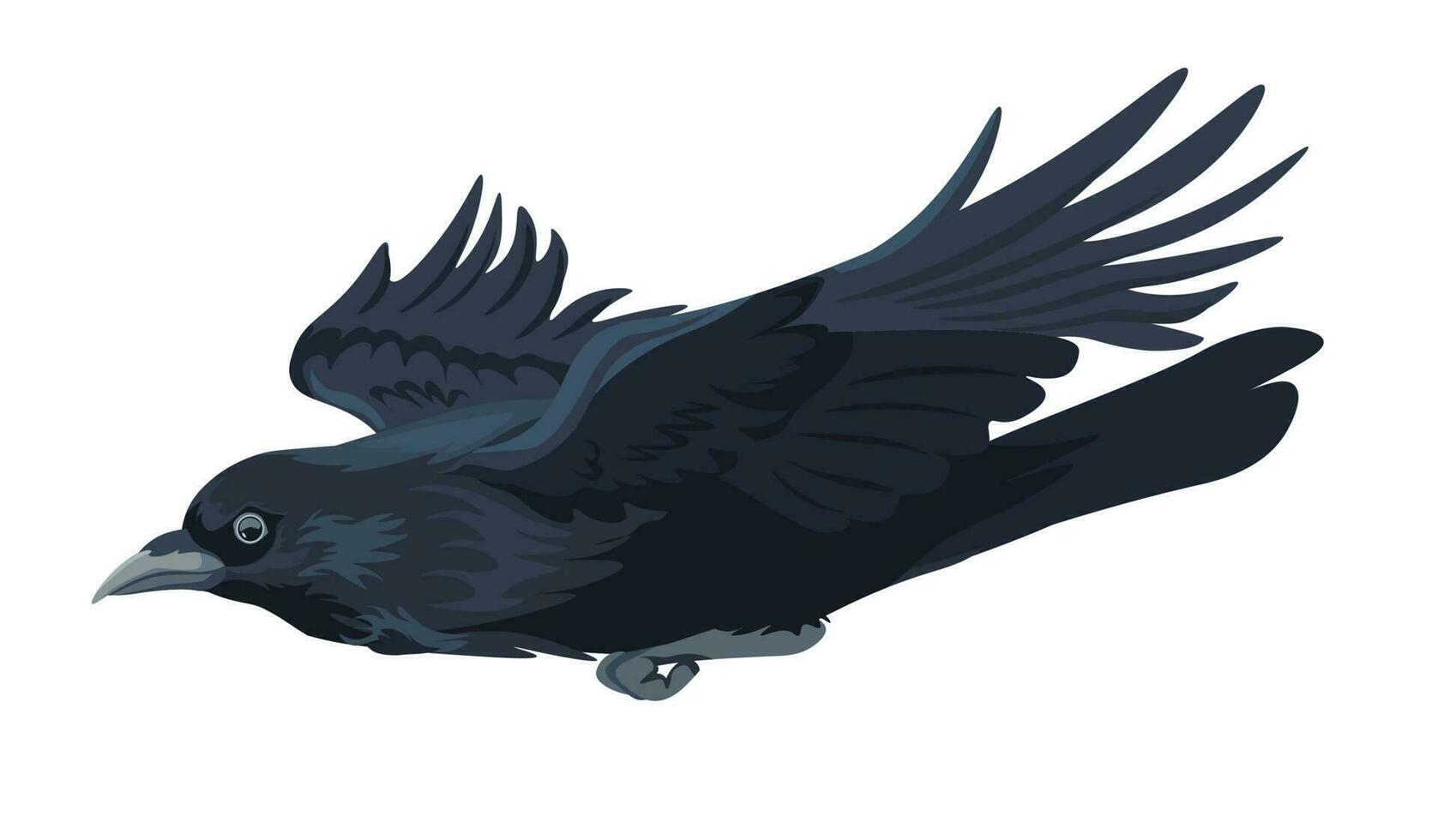 Large black bird, flying crow or rook avian animal vector