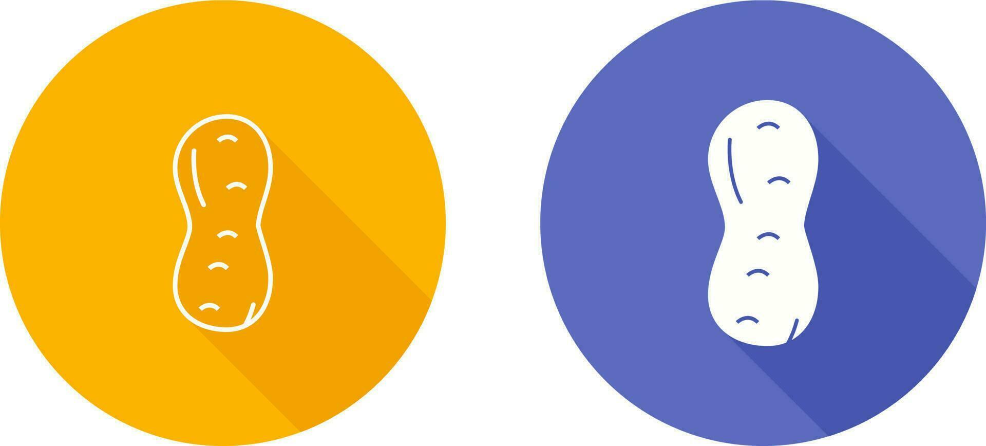 Peanut Vector Icon