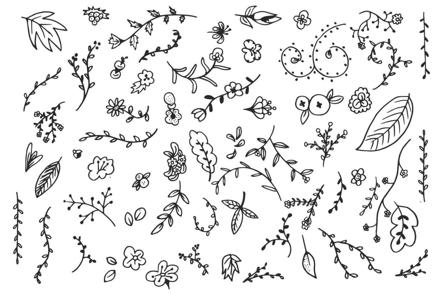 A set of doodle icon vector illustration collection of branch and twig design elements with flower bud leaves and petals