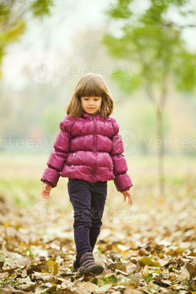 Portrait of a girl in the park photo