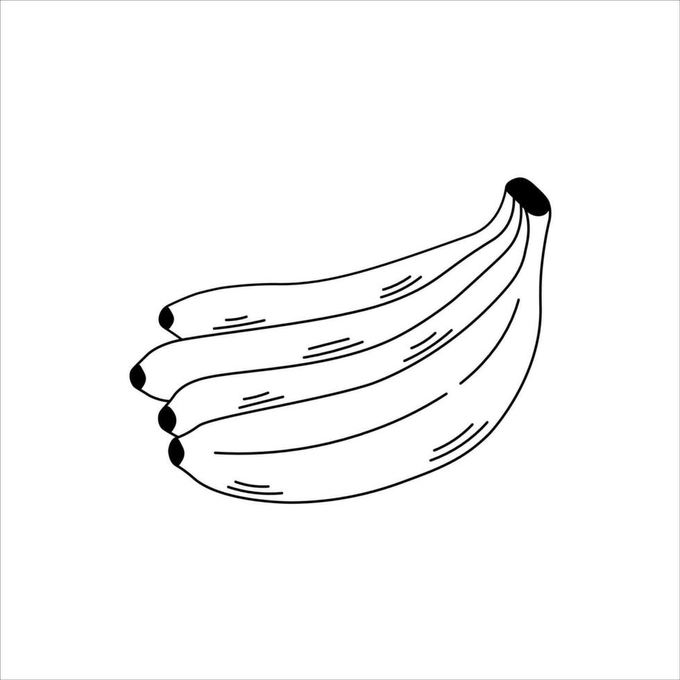 Bunch of bananas doodle vector