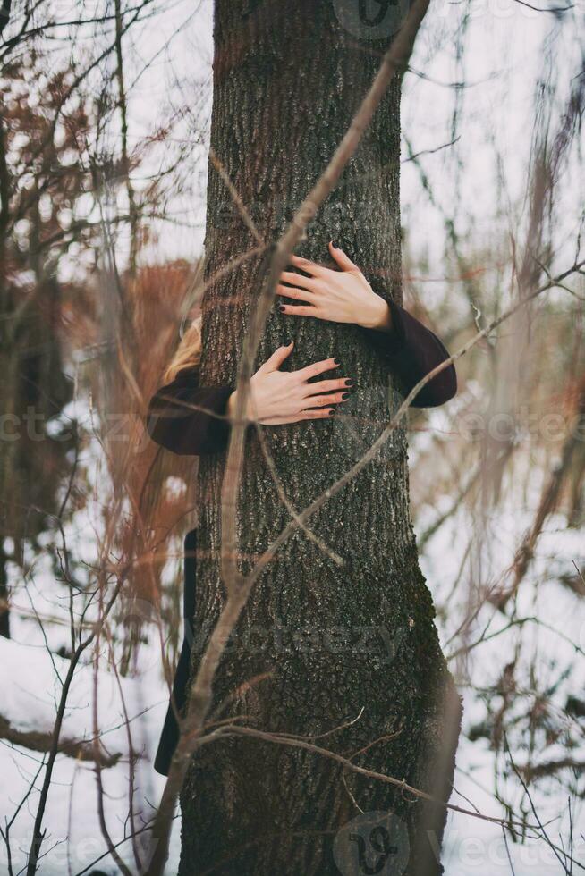 Woman hugging a tree photo