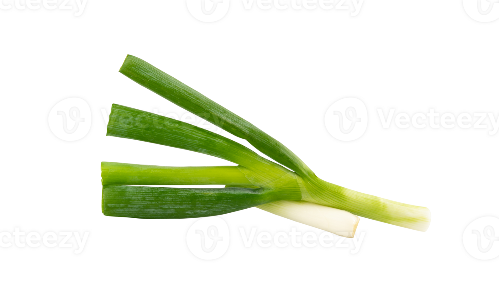 Grün Zwiebel Blatt isoliert Element png