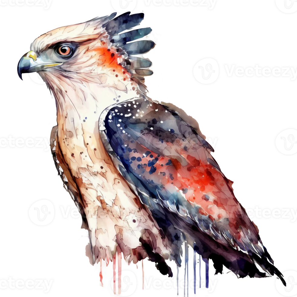 Thunderbird watercolor illustration isolated, png