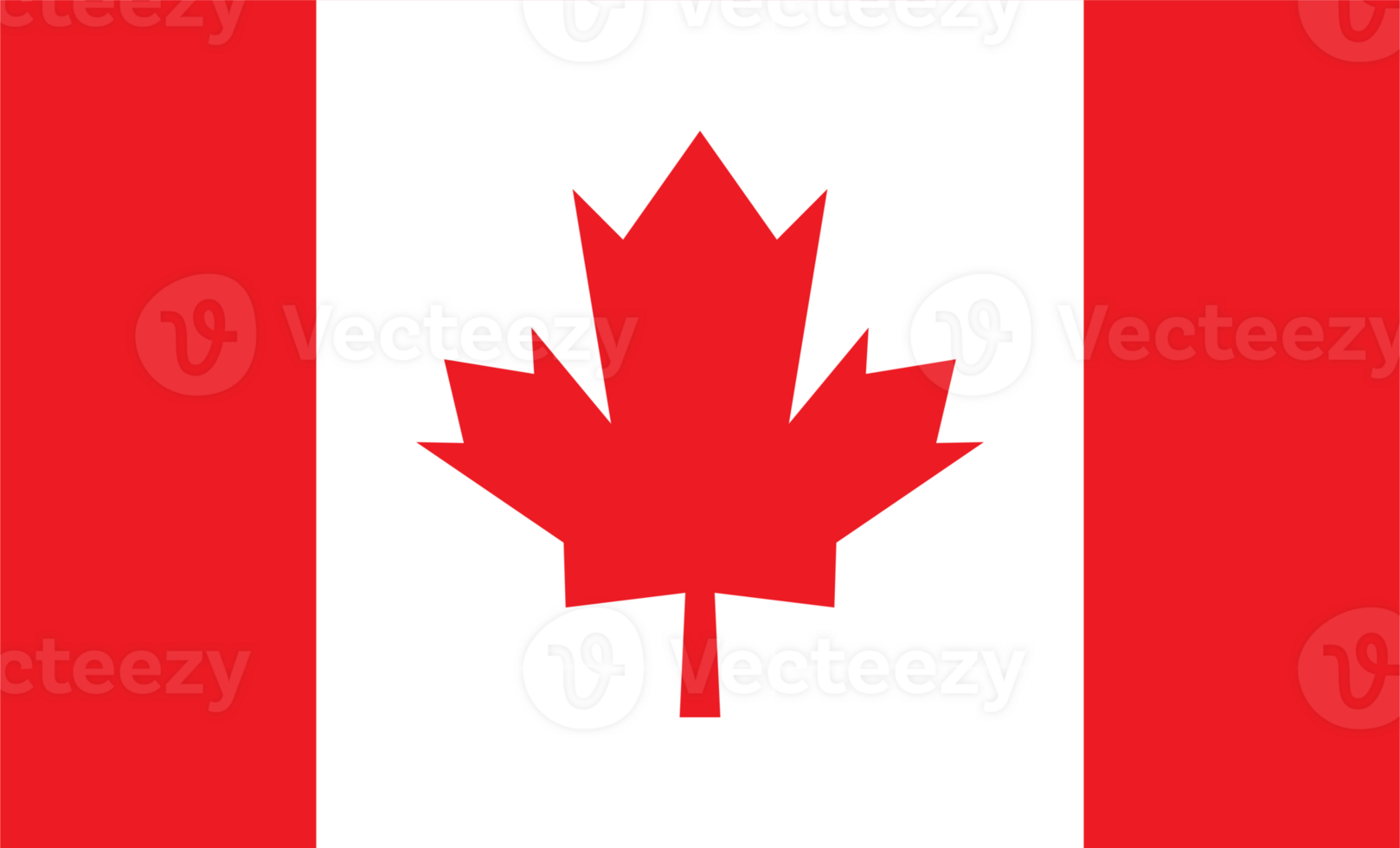 The maple leaf symbol for Canada day concept png