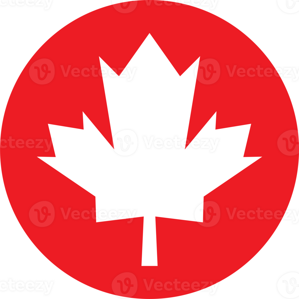 The maple leaf symbol for Canada day concept png