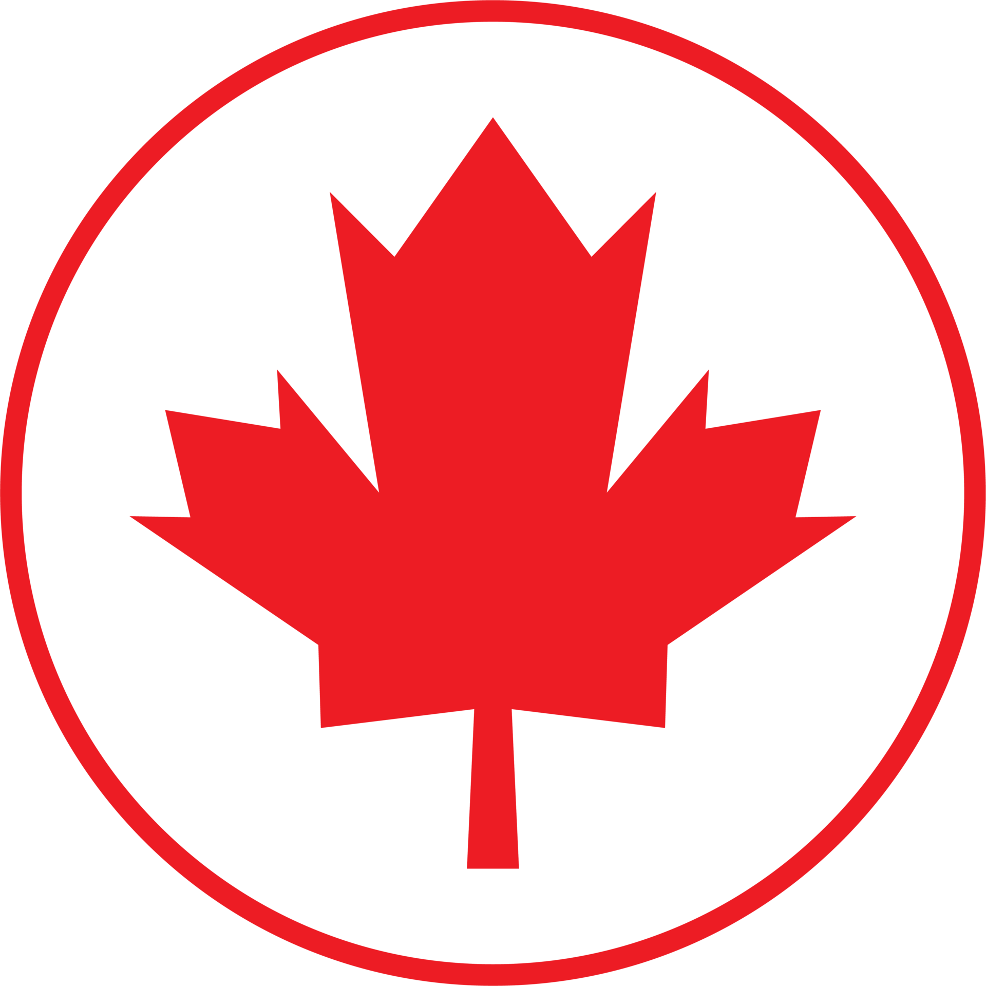 The Maple Leaf