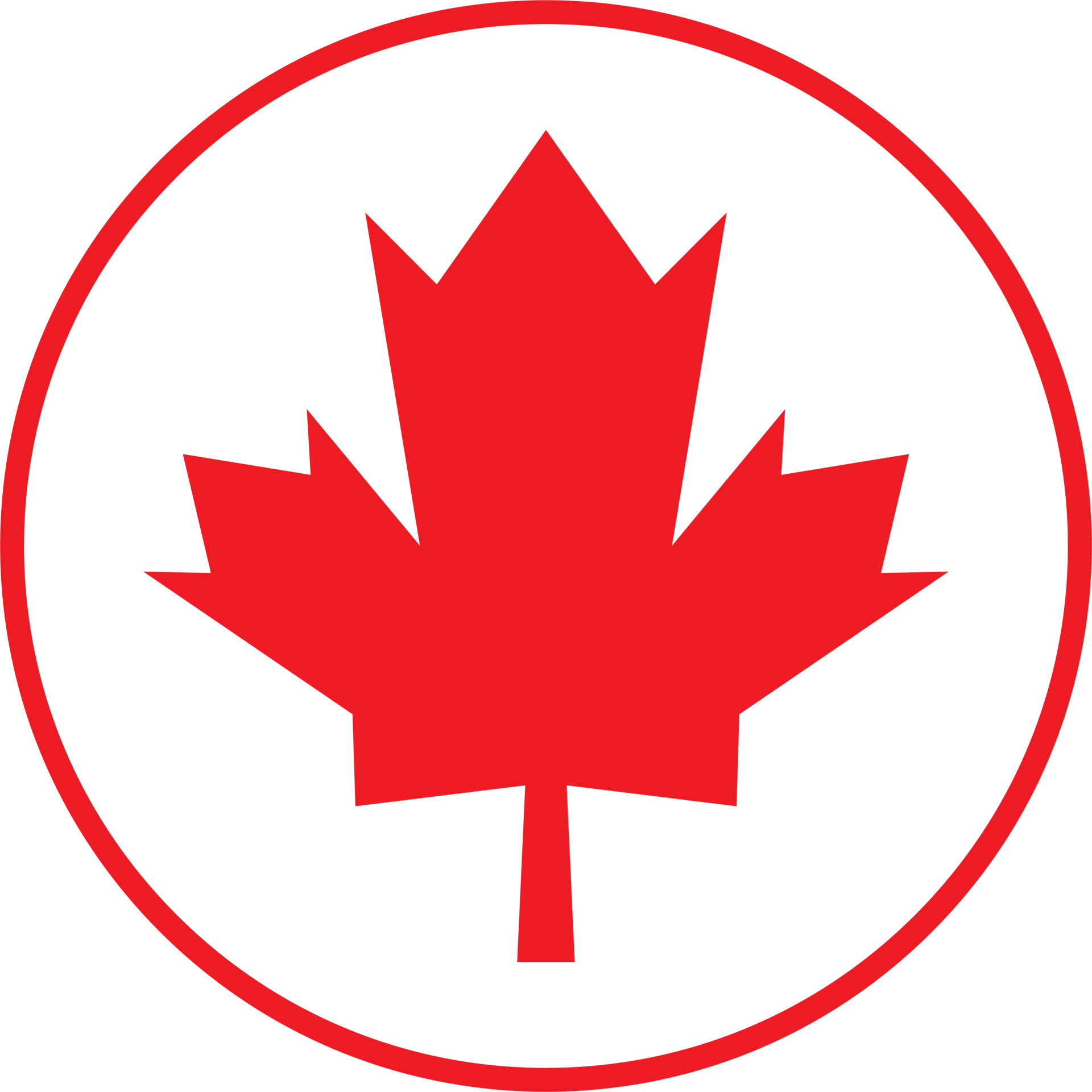 The Maple Leaf Symbol For Canada Day Concept 23944174 PNG