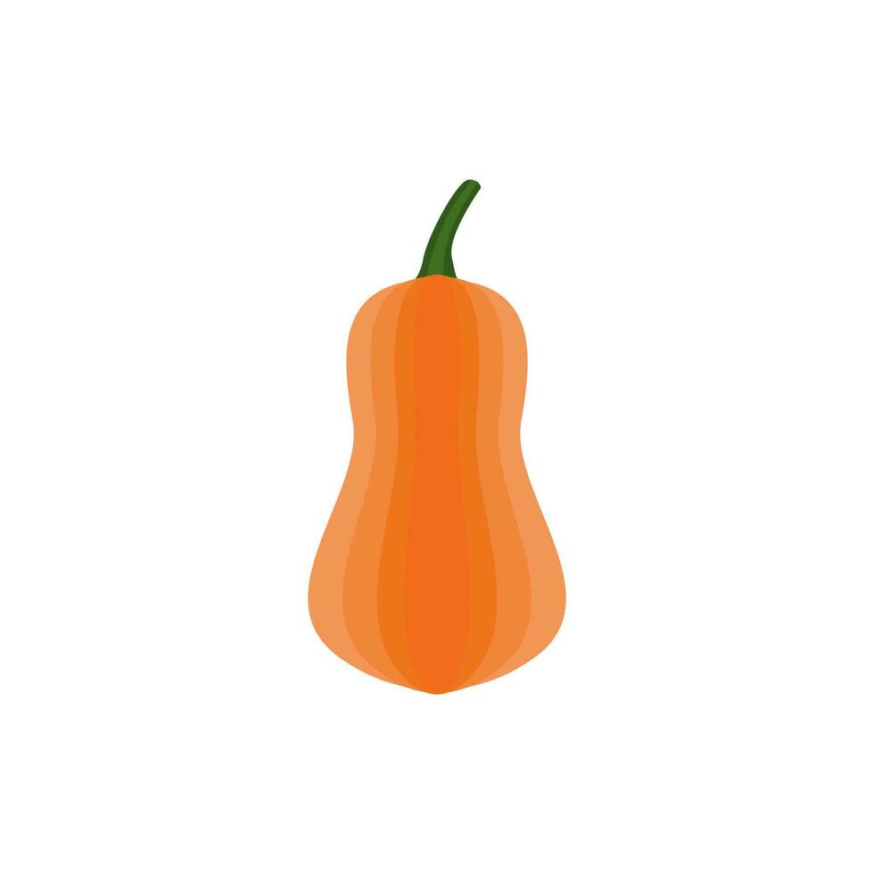 pumpkin flat design vector illustration isolated on white background