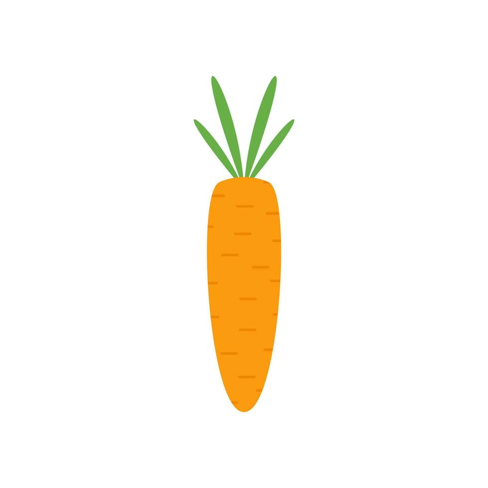 carrot flat design vector illustration. Carrot icon isolated on white background. Veg icon illustration. Carrot, vegetable, food, vector flat style. Vector orange flat carrot icon.