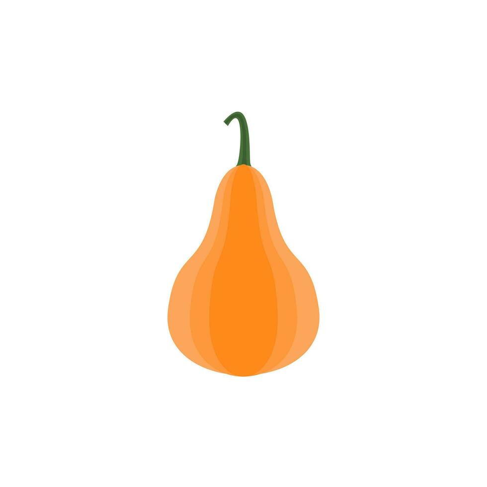 pumpkin flat design vector illustration isolated on white background