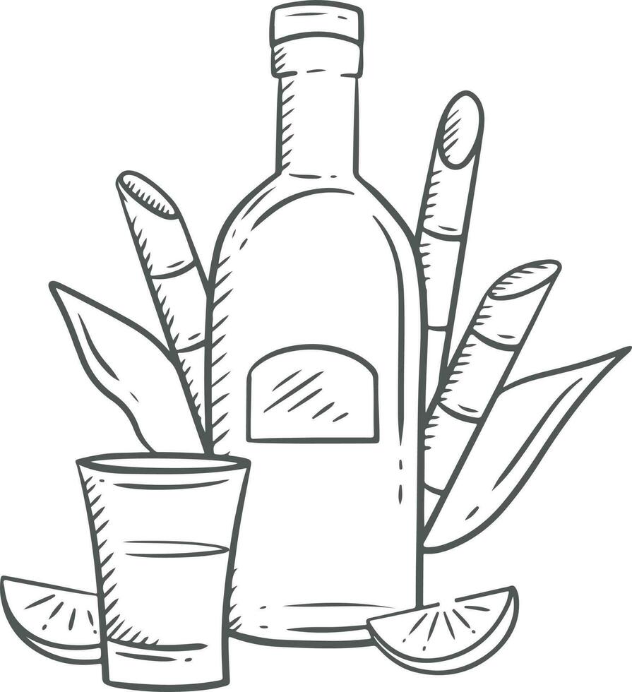 bottle of wine and glass. Bottle of tequila and glass. Vector illustration in sketch style