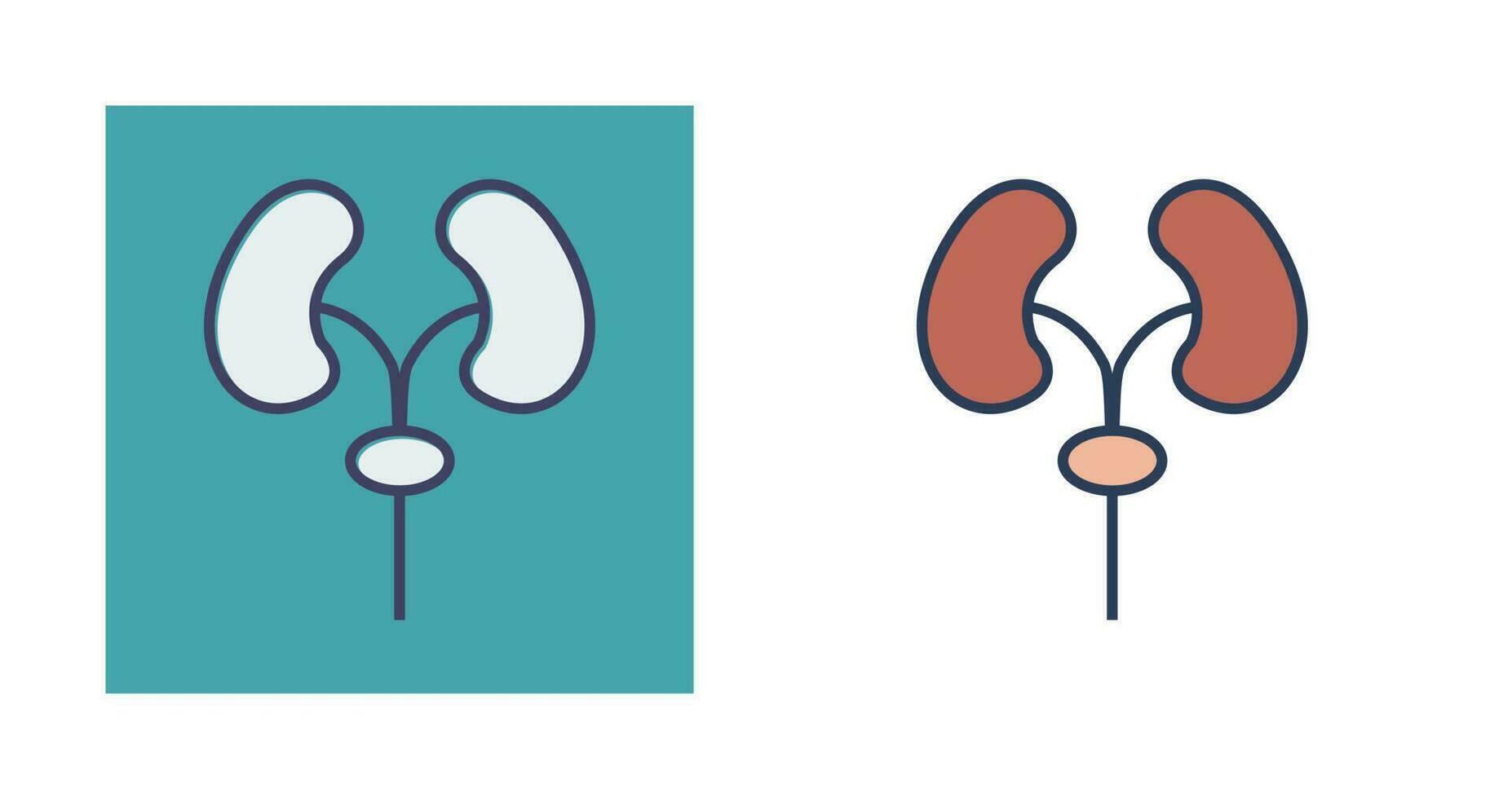 Excretory Vector Icon