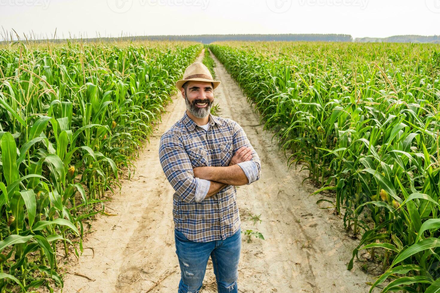 Proud farmer is standing in his growing corn field photo