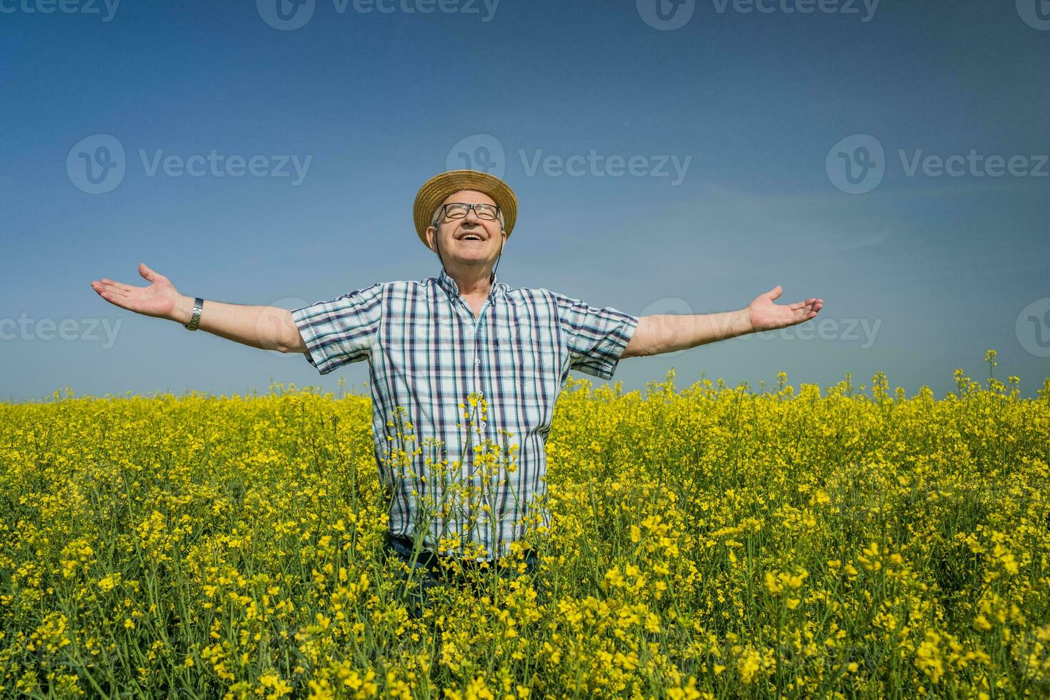 A farmer examining a rapeseed field photo