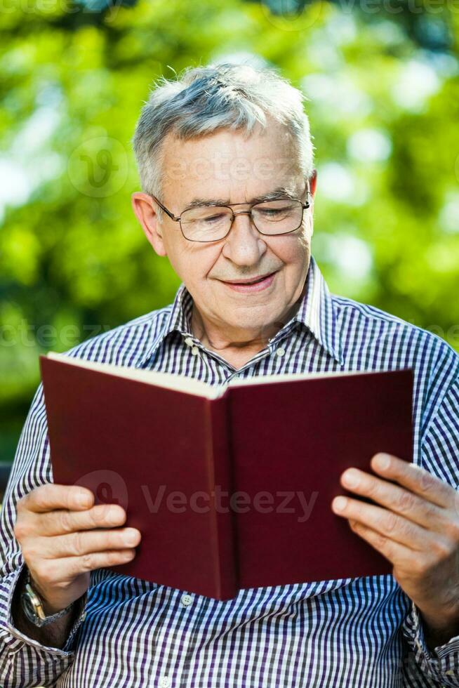 Portrait of a senior man on the park photo