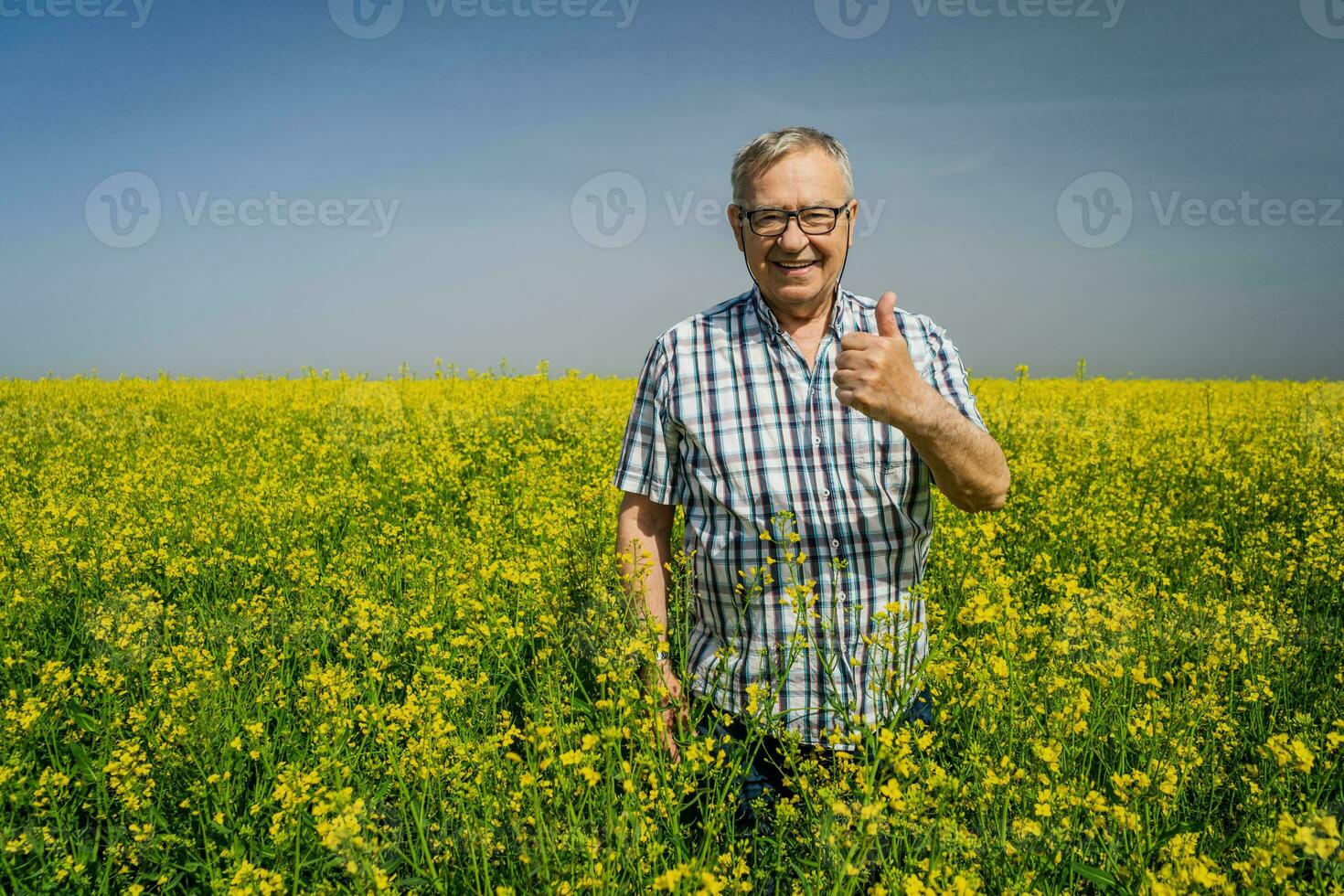 A farmer examining a rapeseed field photo