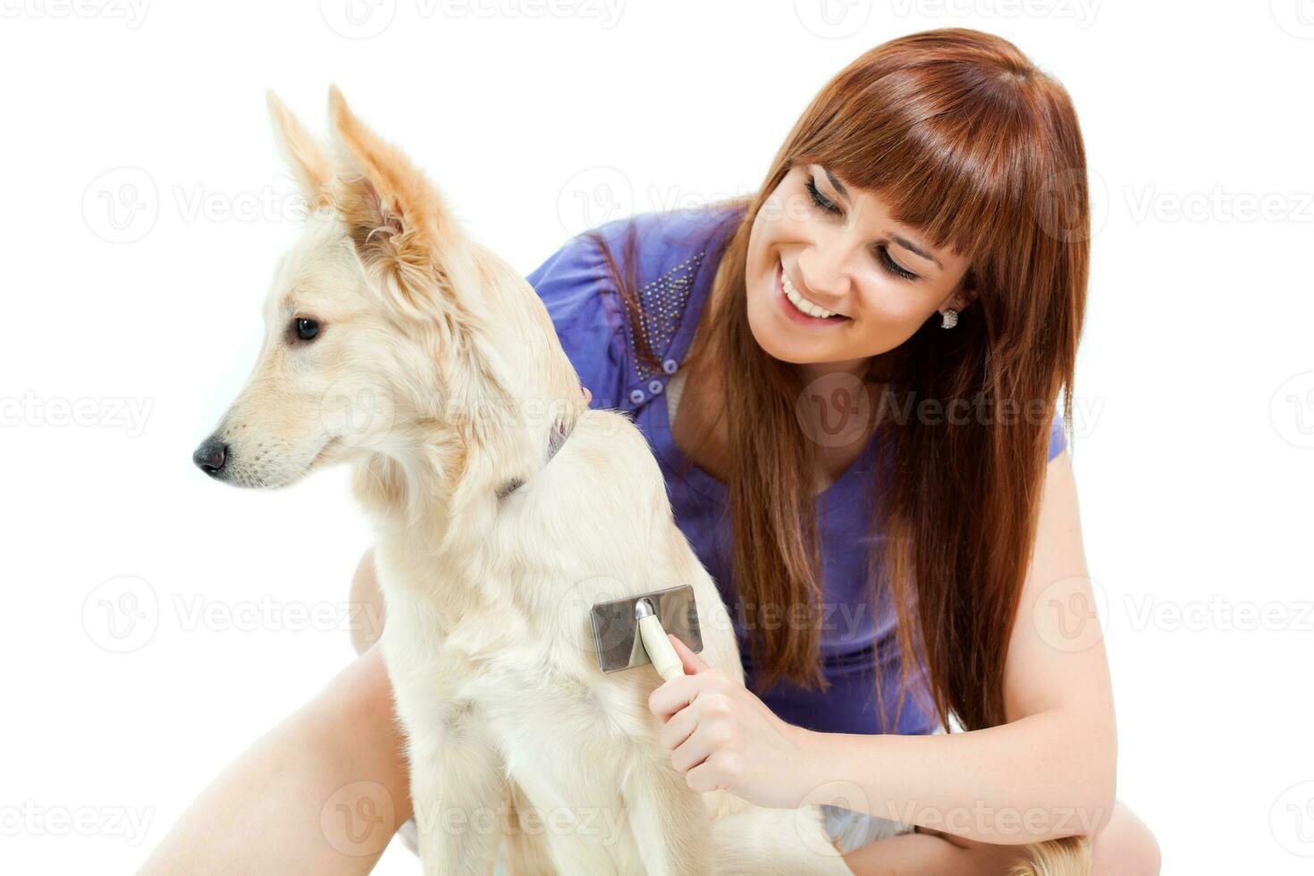 un mujer aseo un perro foto