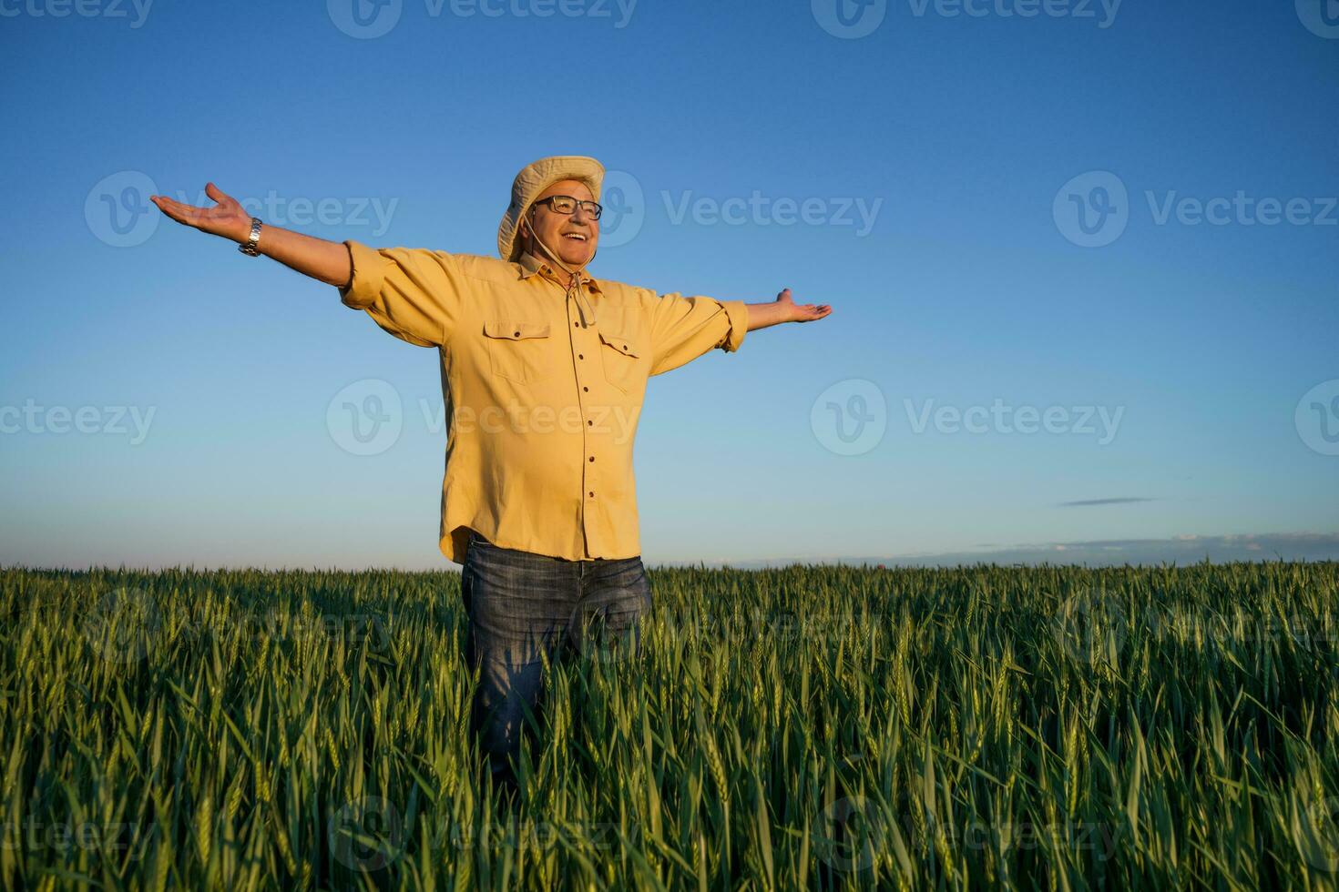 Farmer standing in a wheat field photo