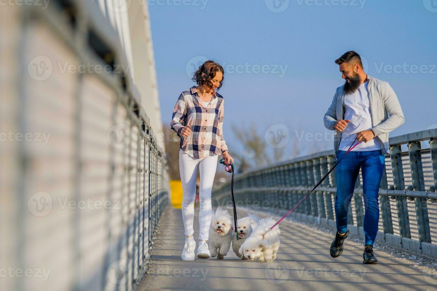 A couple walking their dogs photo