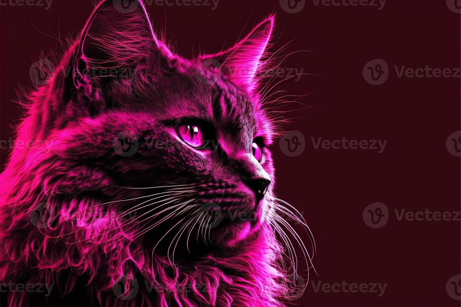 Magenta cat illustration photo