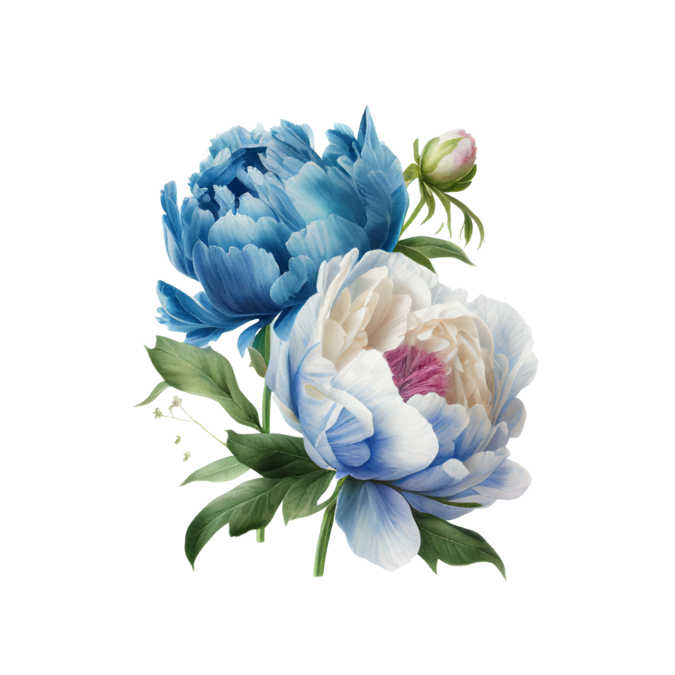 Blue White Peonies Clipart watercolor rose orange blue and leaves png