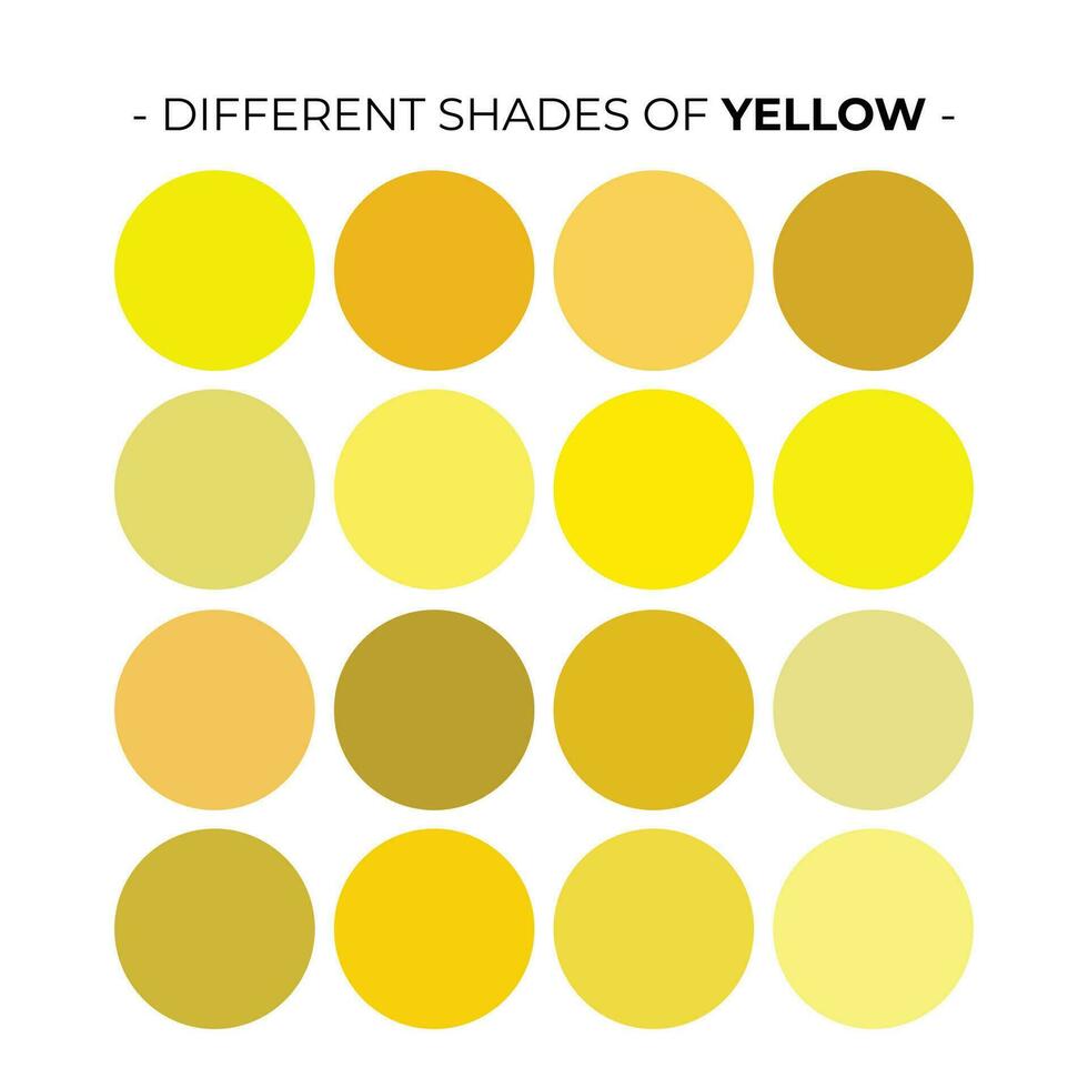 Vector Color Palette Set Design Template Multi color