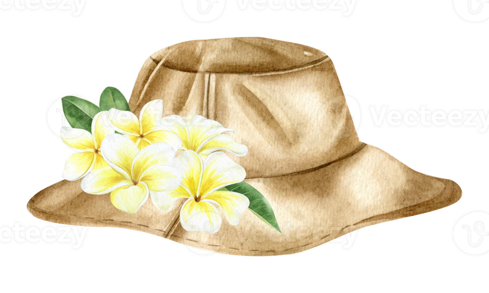 Brown sun hat with plumeria flowers. sun protection. Beach Headwear. Vacation accessories and clothing style element. Watercolor hand drawn illustration. Isolated. png