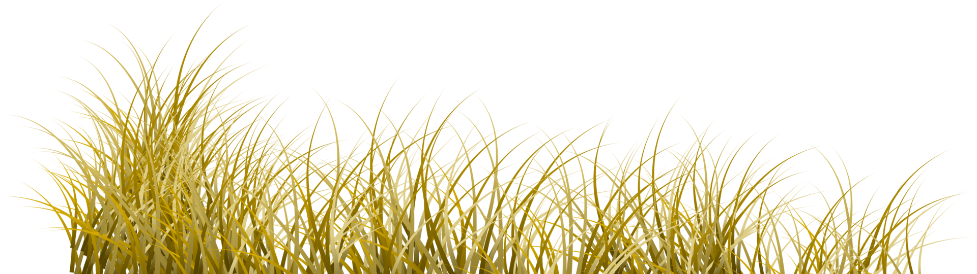 dry grass. dead grass transparent background png