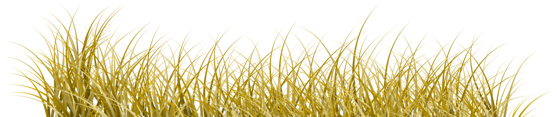 brown grass transparent background png