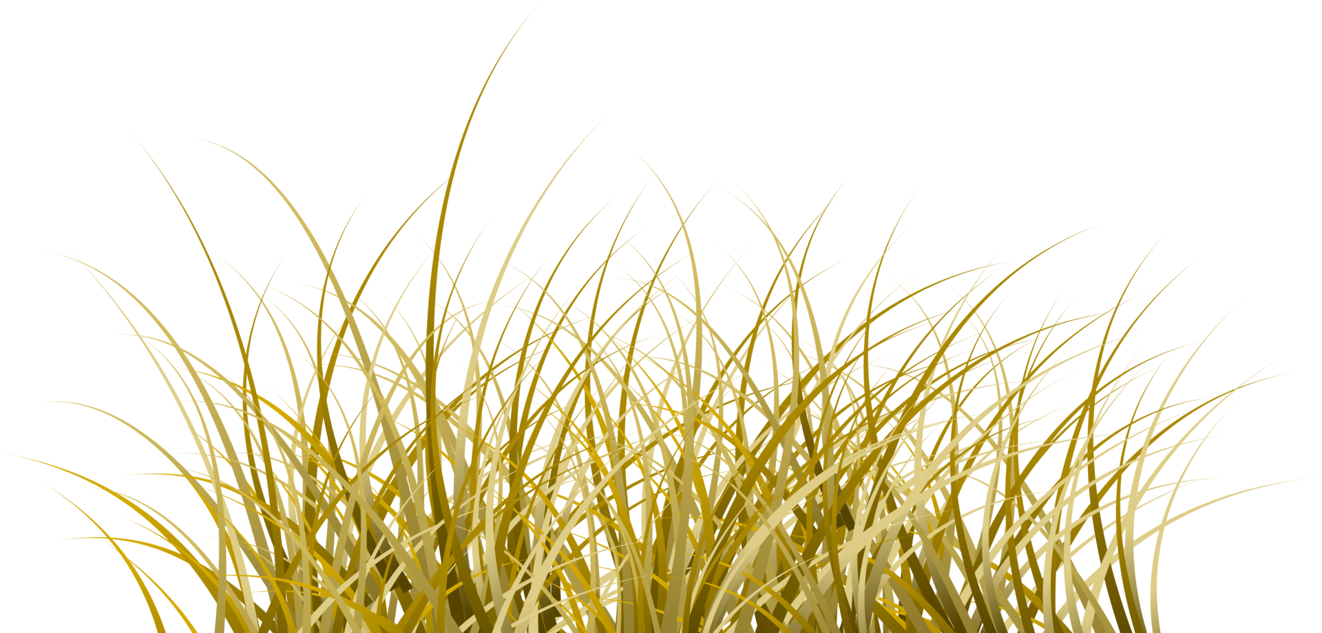 dry grass dead grass transparent background 23956970 PNG