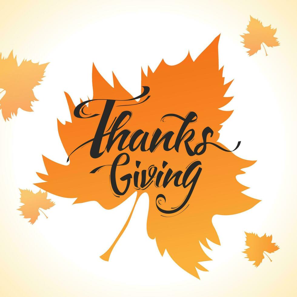 Calligraphy of Thanksgiving on maple leaves background can be used as greeting card design. vector