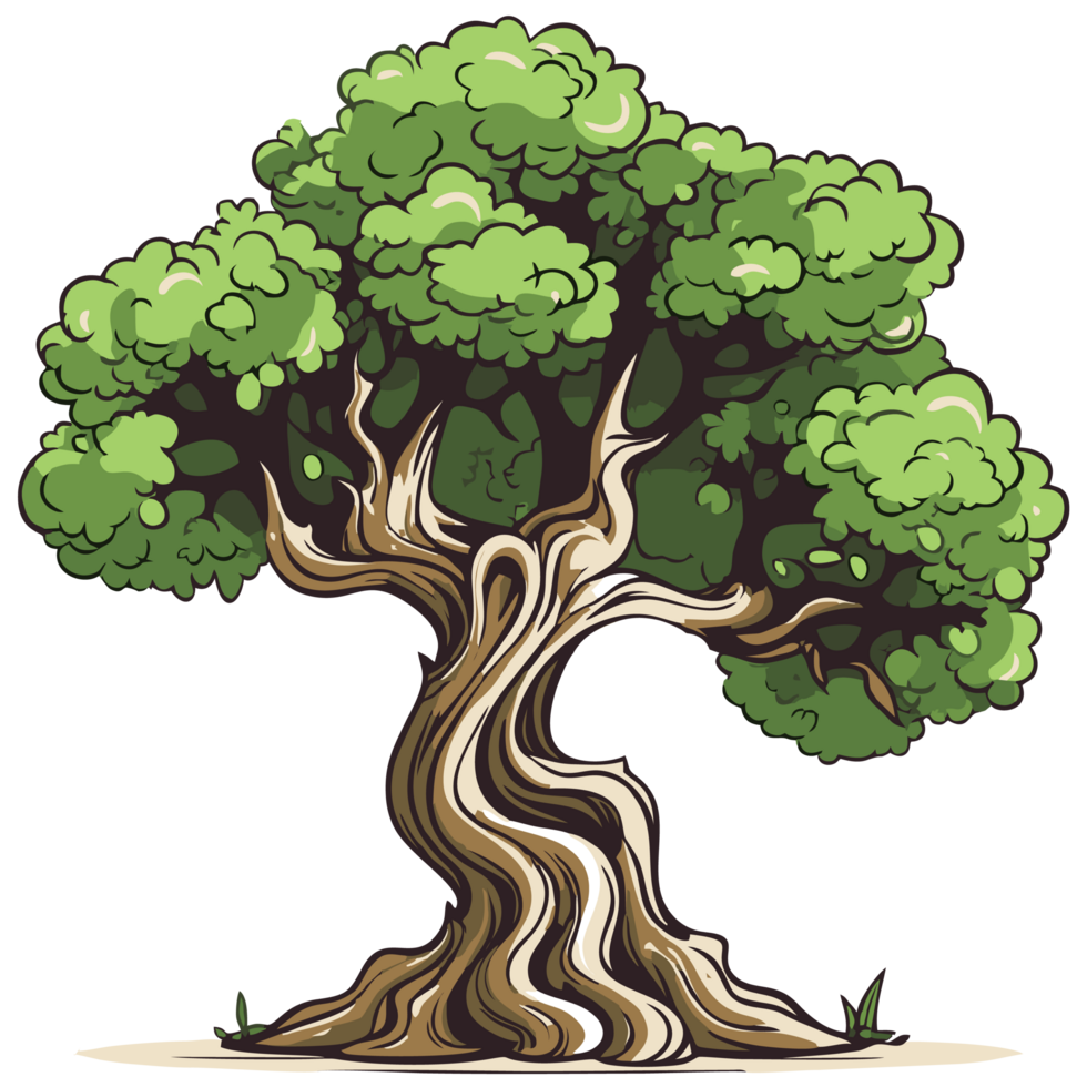 Big tree isolated on transparent background png
