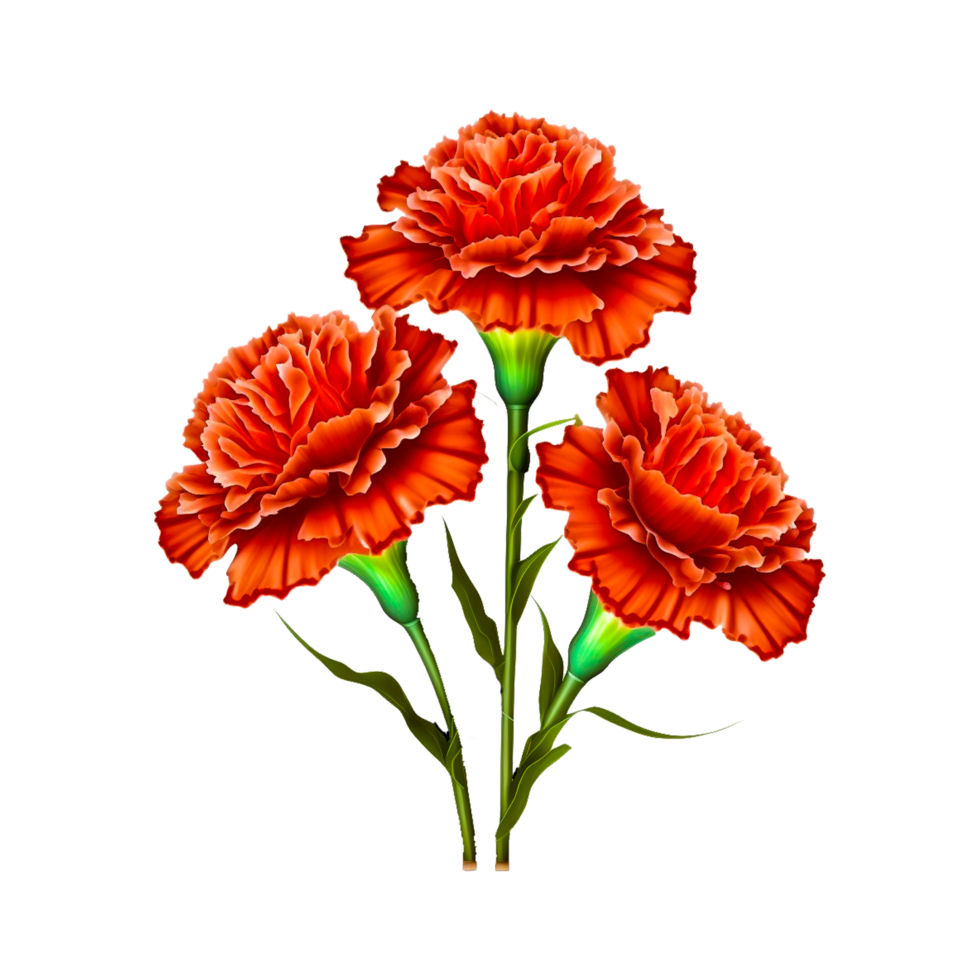 madre día flor png