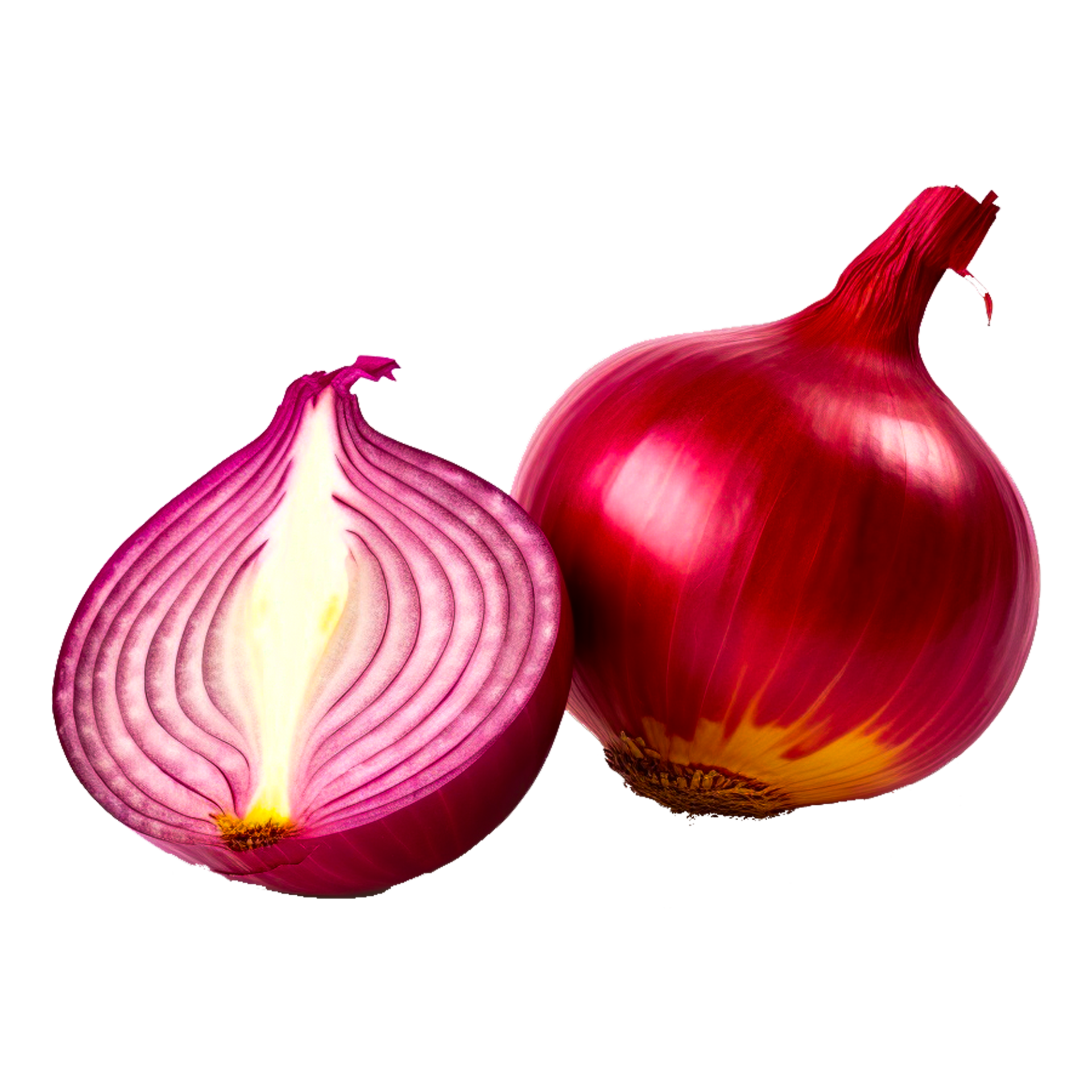 red fresh onion 23961416 PNG
