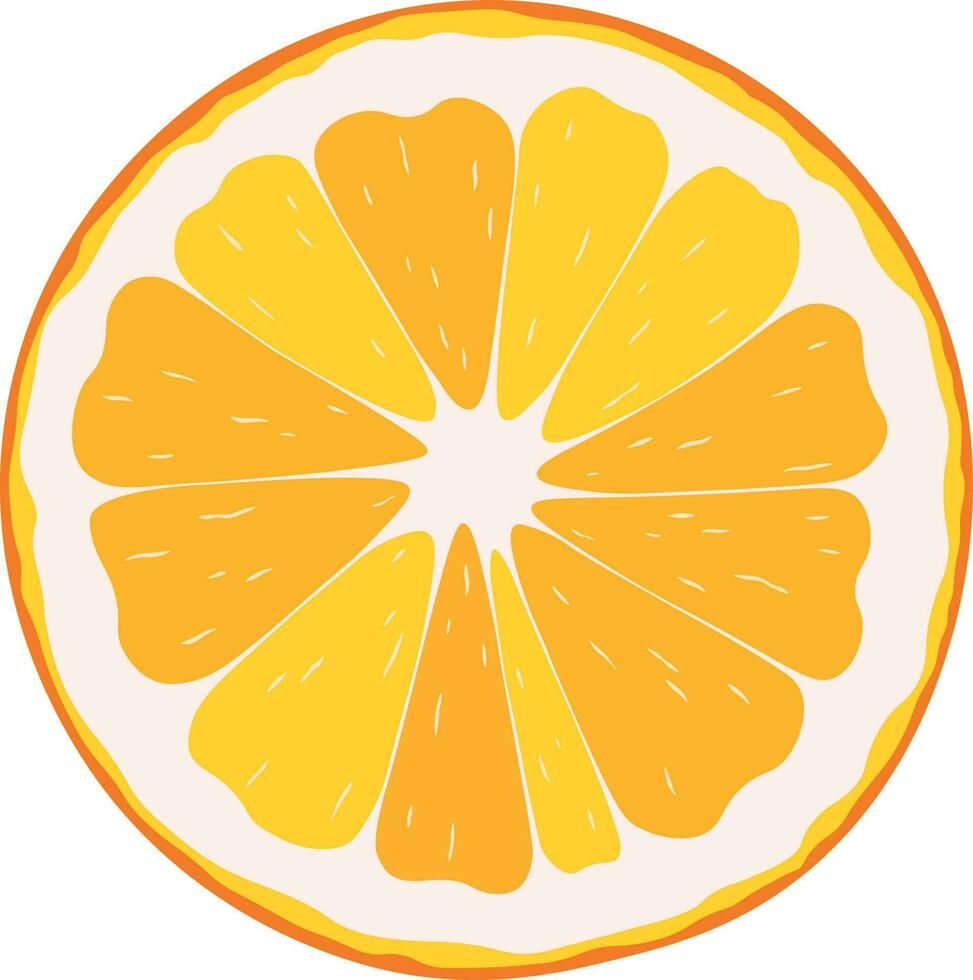 Vegan juicy orange slice on white background. Natural gold citrus fruit. Good for sticker, logo, icon. vector