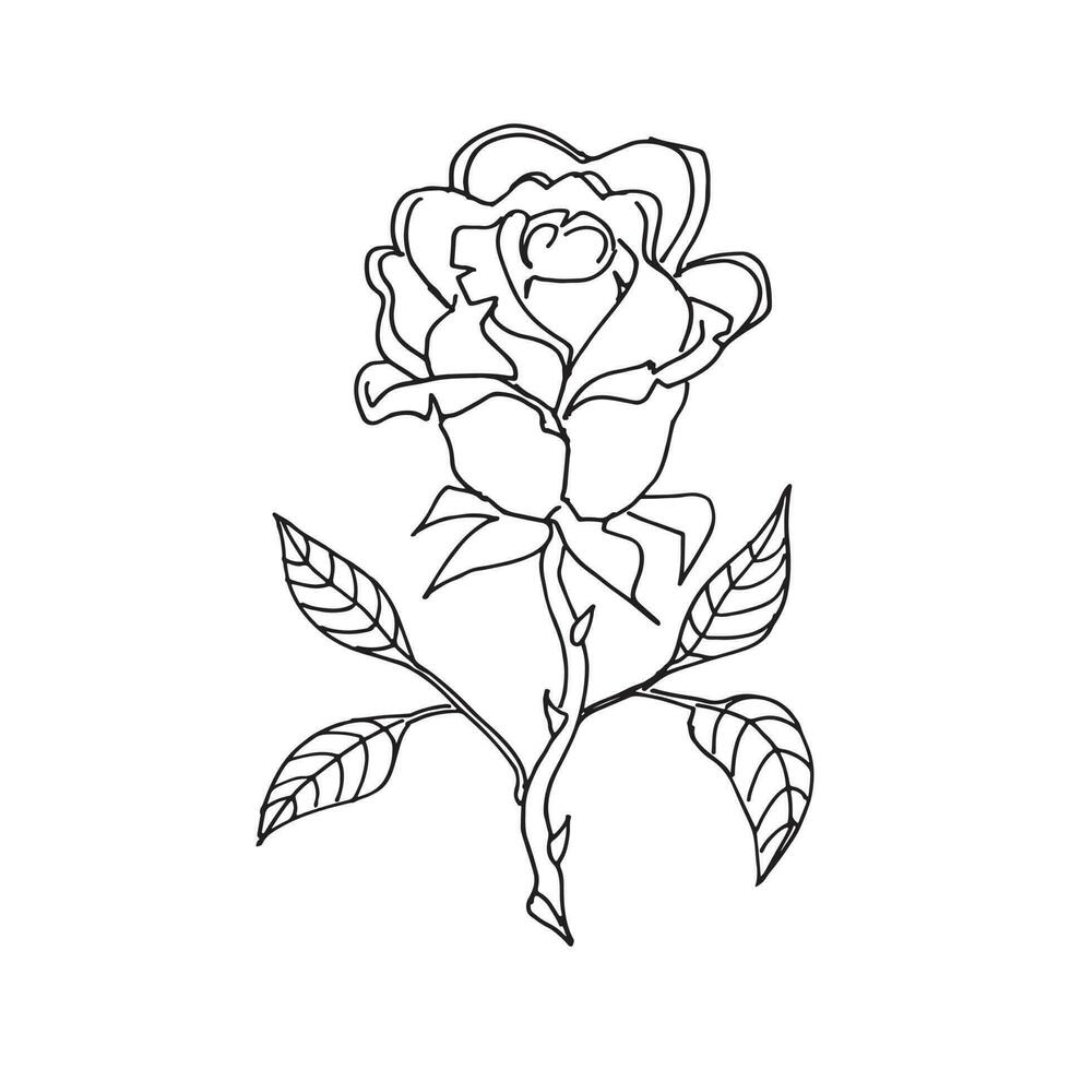 Rose, Hand drawn vector illustration, floral line drawing, set of monochrome flower, line art, black and white, illustration, vector