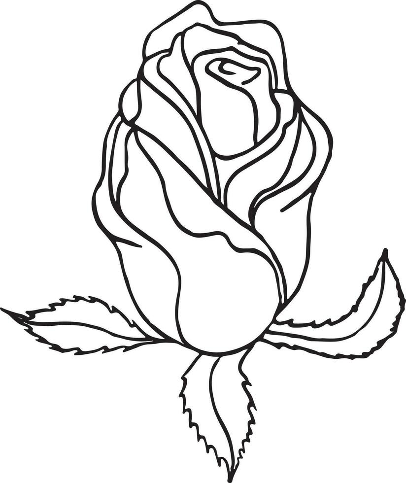 Rose, Hand drawn vector illustration, floral line drawing, set of monochrome flower, line art, black and white, farm, sketch, vector