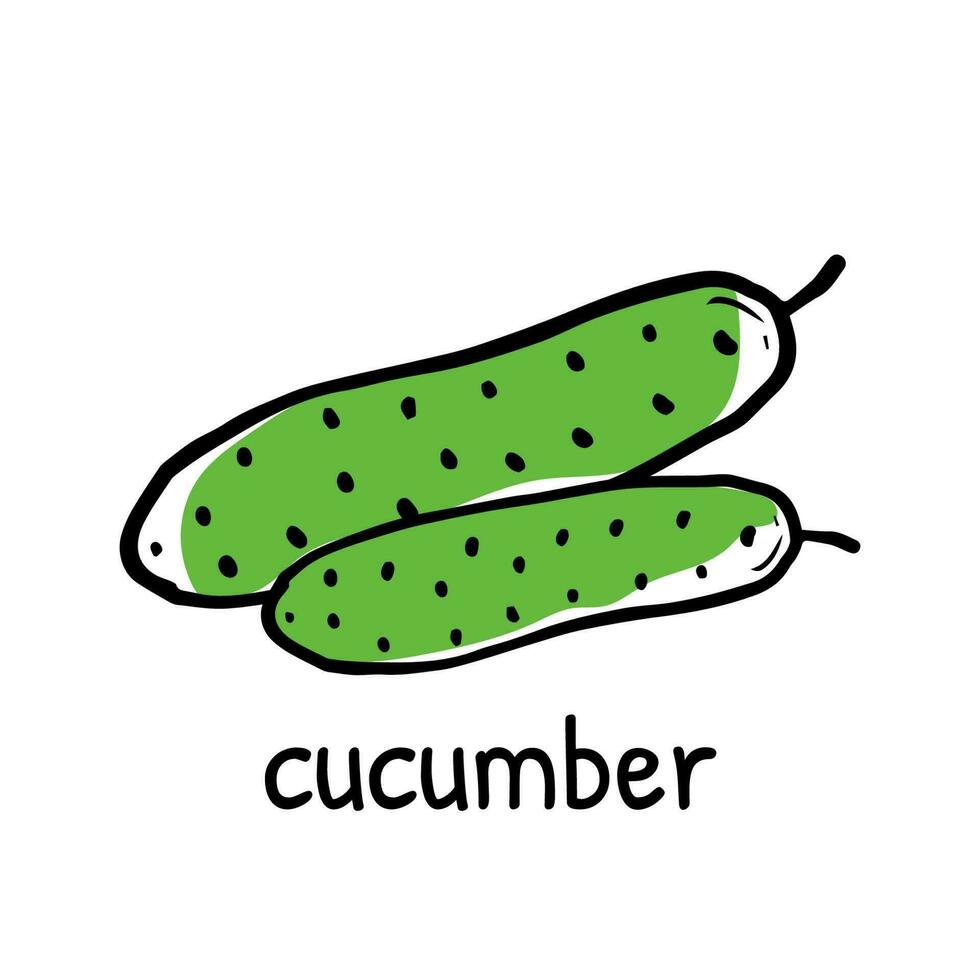 Doodle cucumber illustration with its name. Hand drawn sketch logo of vegetable. Isolated vector icon in doodle line style.