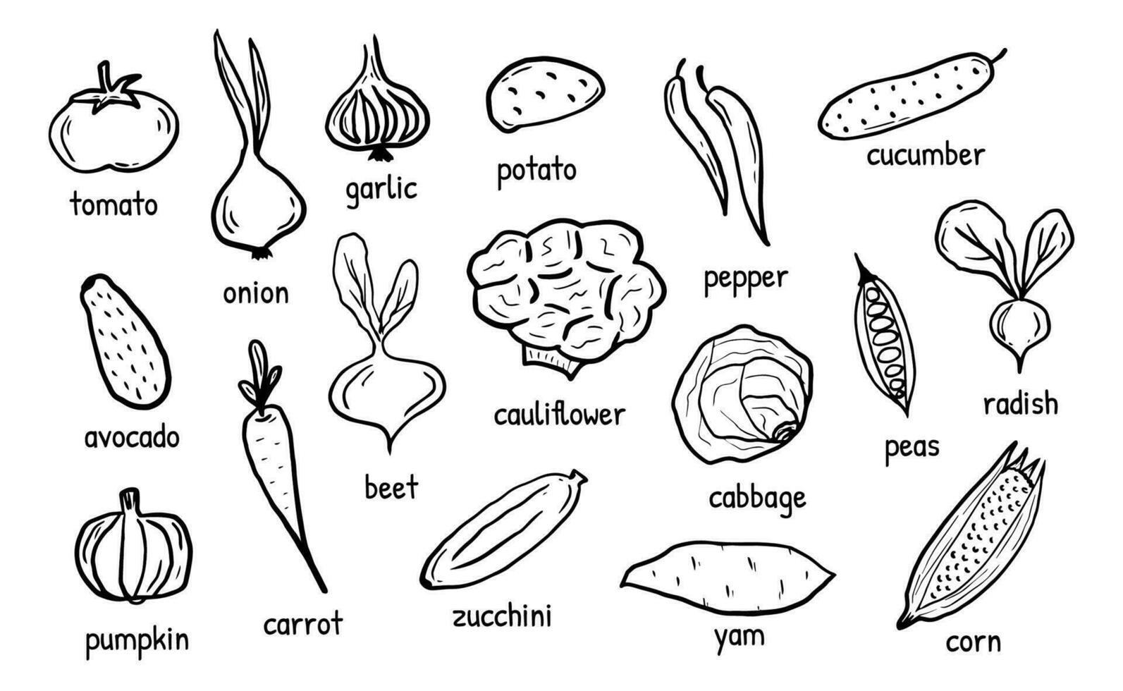 Vegetables Set hand drawn doodle elements. Green Eco products with its names. Vector illustration for backgrounds, web design, design elements, textile prints, covers, posters, menu