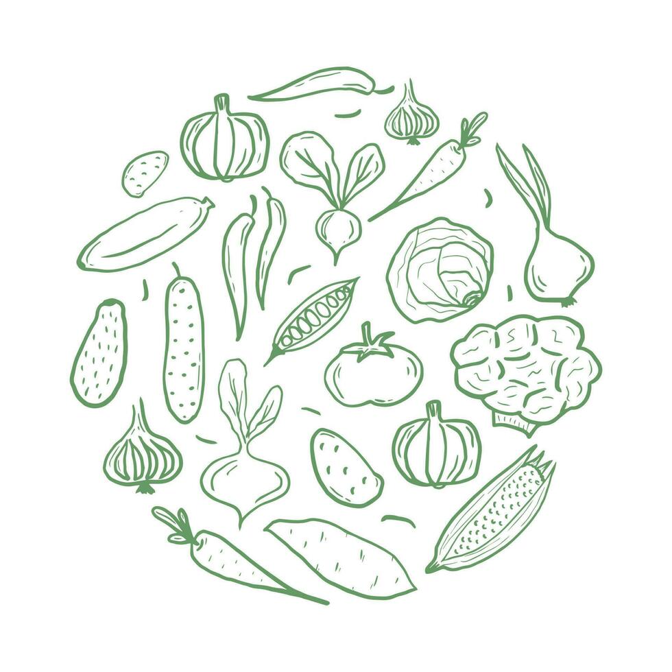 Fresh vegetables circle shape pattern for coloring book. Doodle healthy food mandala coloring page. Hand drawn print with corn, pumpkin, tomato, broccoli, etc. Vector illustration