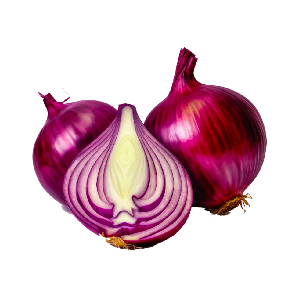 red fresh onion 23963138 PNG