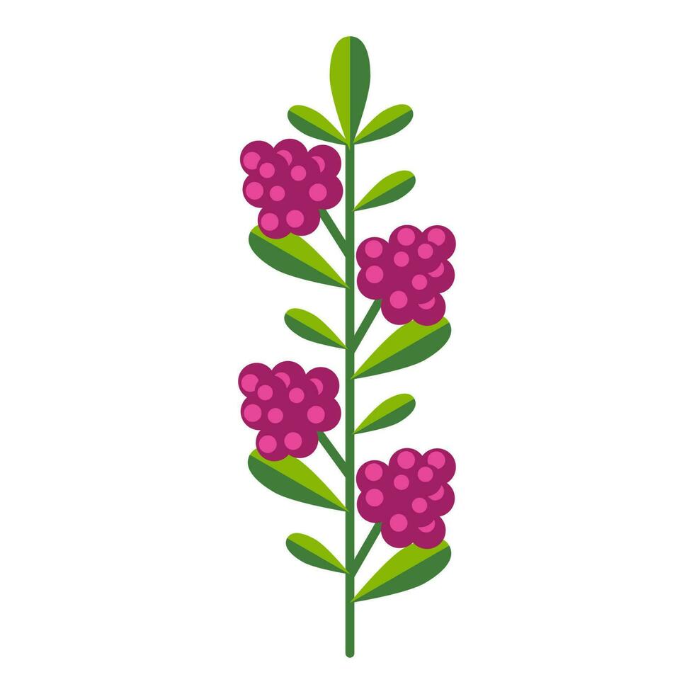 Simple minimalistic bright green branch with leaf and pink berries. Flower collection of colorful plants for seasonal decoration . Stylized icons of botany. Stock vector illustration in flat style