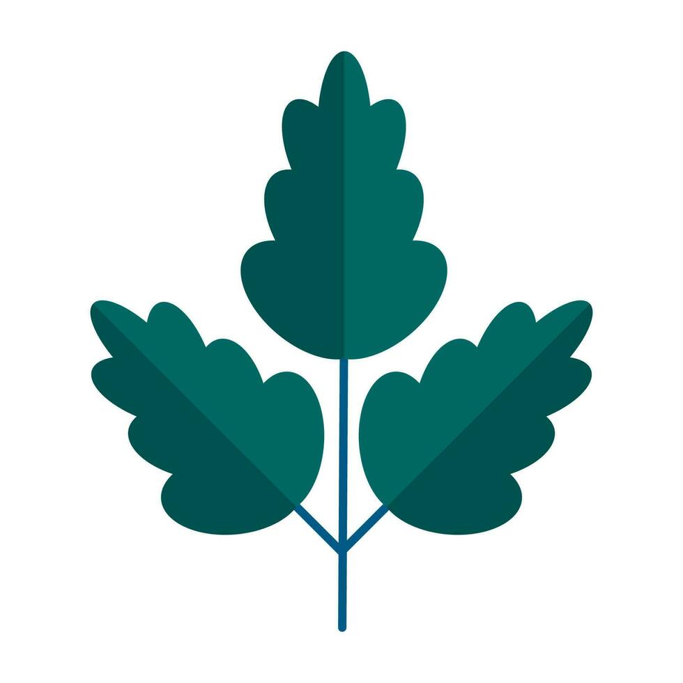 Green branch of tree with leaves simple minimalistic. Floral collection of elegant plants for seasonal decoration . Stylized icons of botany. Stock vector illustration in flat style isolated on white