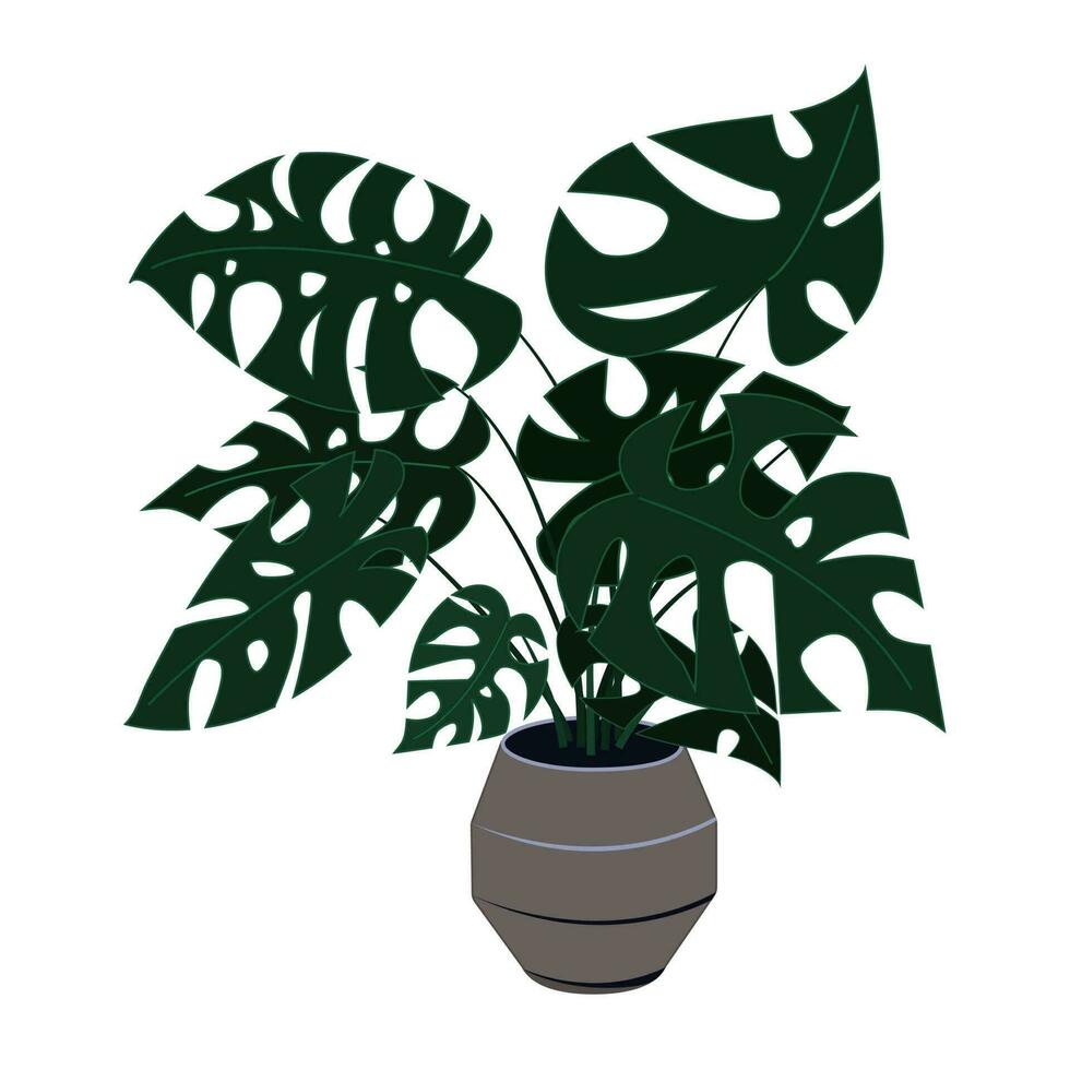 Tropical monstera plant in a pot. The decor of the home and office is an exotic palm bush with large leaves. Vector illustration isolate on a white background.