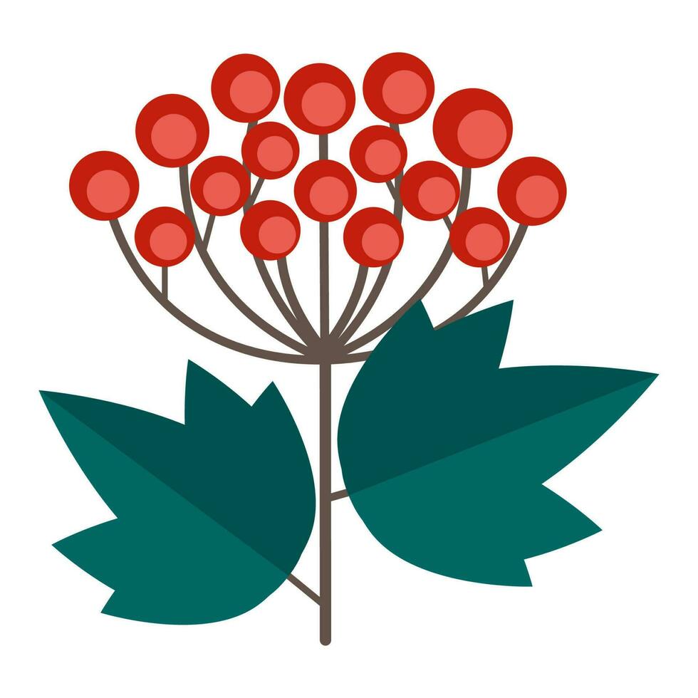 sencillo minimalista verde rama de un viburnum con hojas y rojo bayas. floral colección de vistoso elegante plantas para estacional decoración. estilizado íconos de botánica. valores vector ilustración